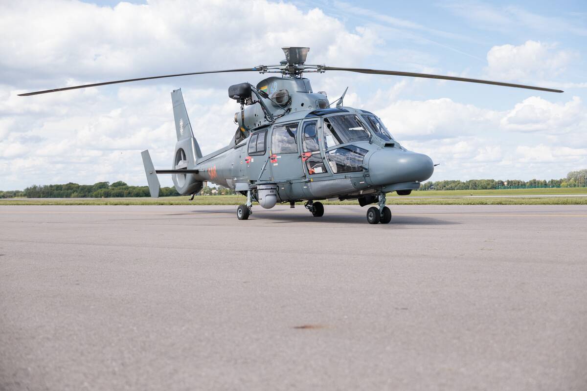 Aviacijos šventė 2026