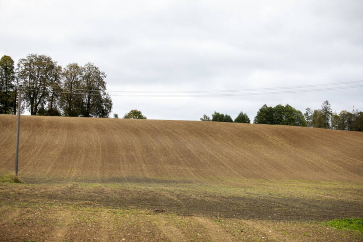 
<span>NŽT: šiemet parduota valstybinės žemės už 48 mln. eurų – 1,8 karto daugiau nei pernai</span>
