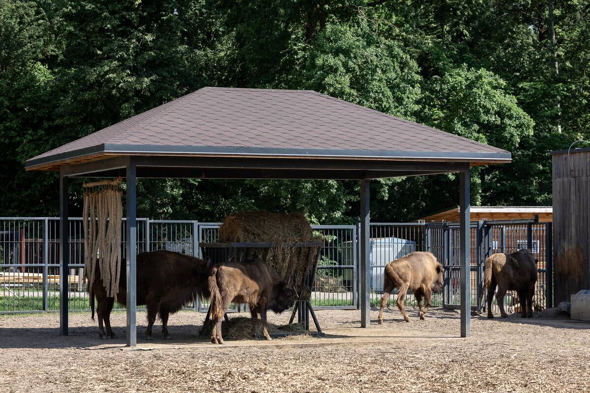 Lietuvos zoologijos sodo 88-asis gimtadienis