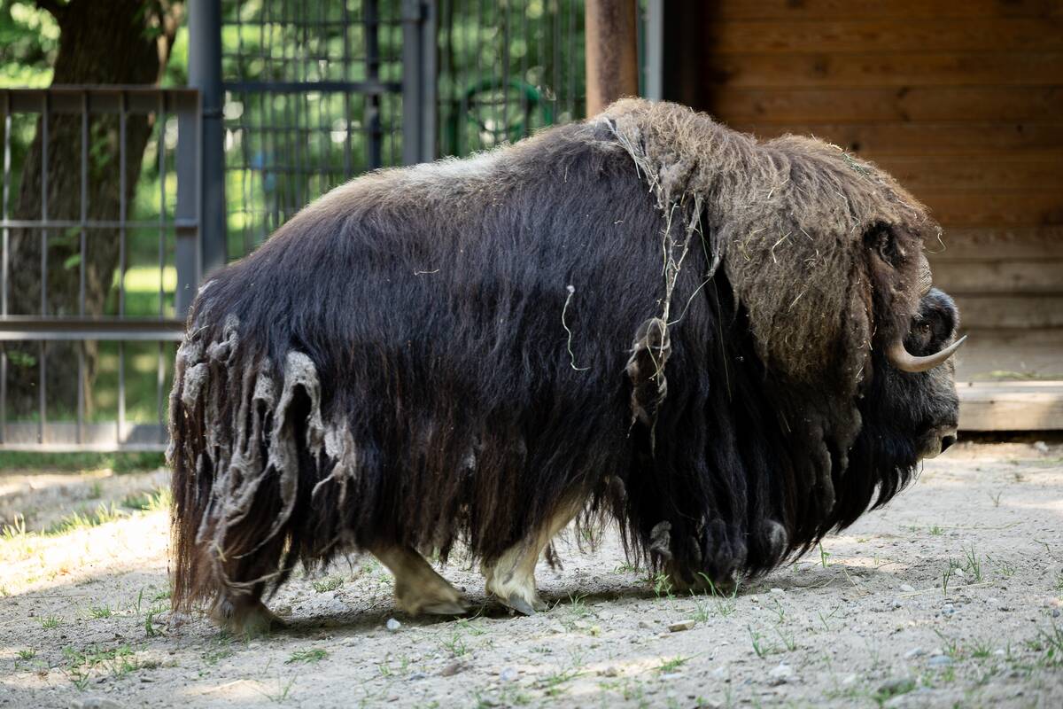 Lietuvos zoologijos sodo 88-asis gimtadienis