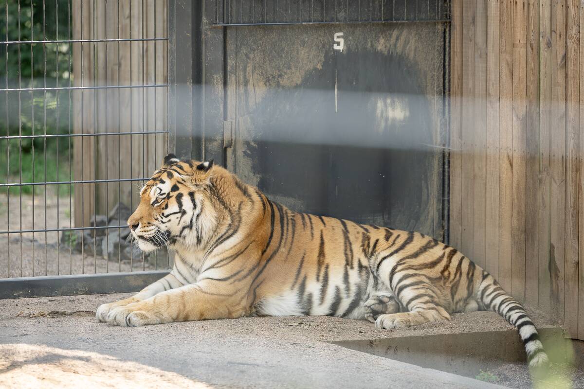 Lietuvos zoologijos sodo 88-asis gimtadienis