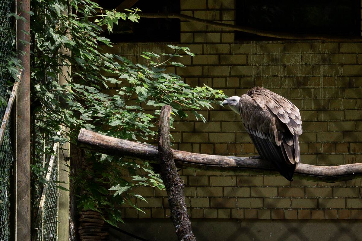 Lietuvos zoologijos sodo 88-asis gimtadienis