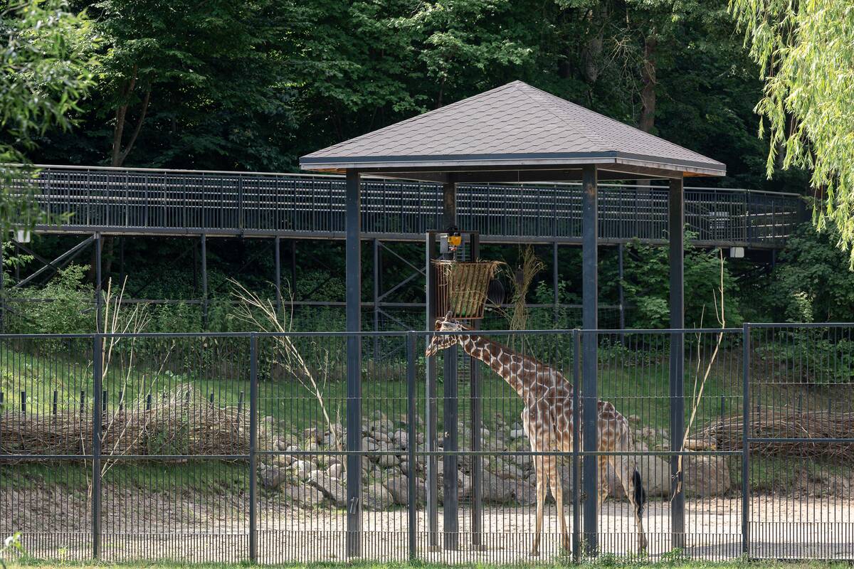 Lietuvos zoologijos sodo 88-asis gimtadienis