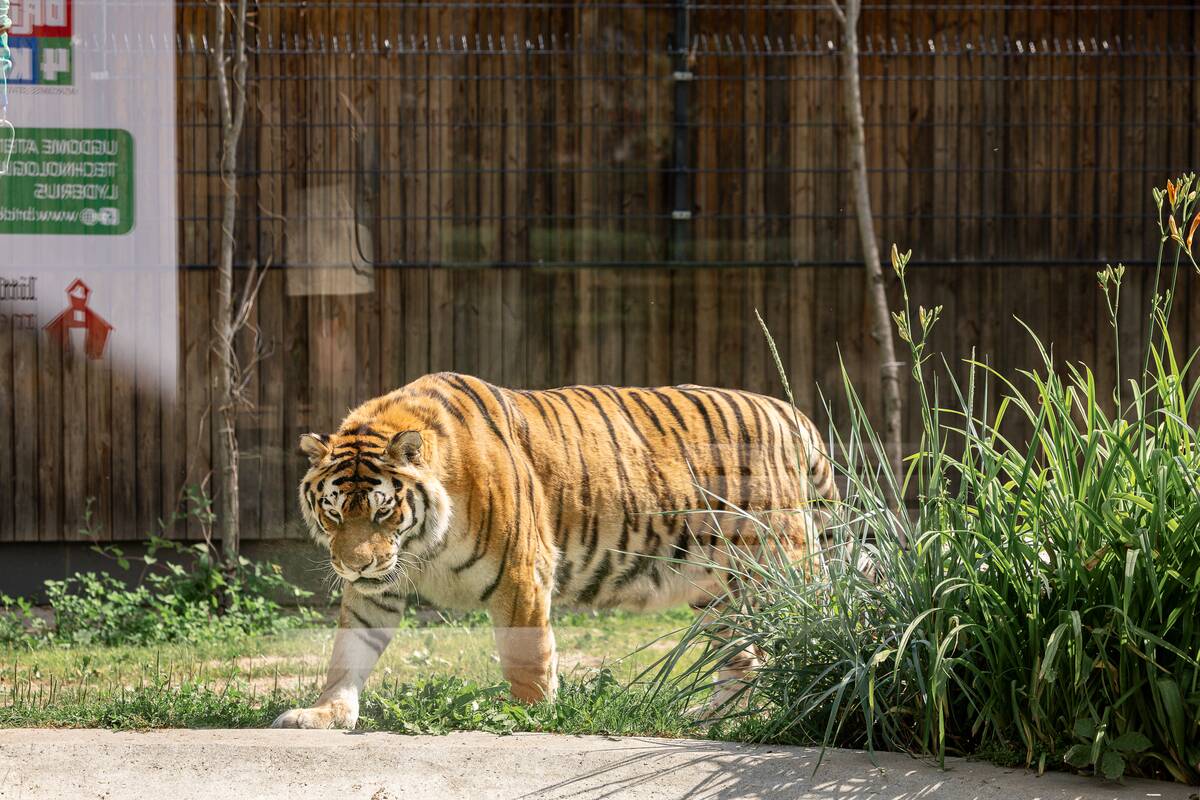 Lietuvos zoologijos sodo 88-asis gimtadienis