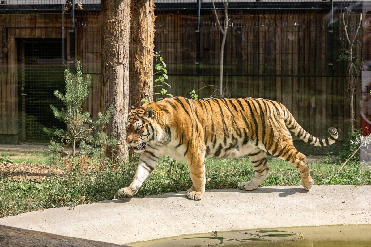 Lietuvos zoologijos sodo 88-asis gimtadienis