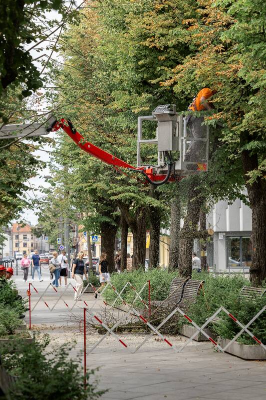 Kauniečių diena (2026-07-02)