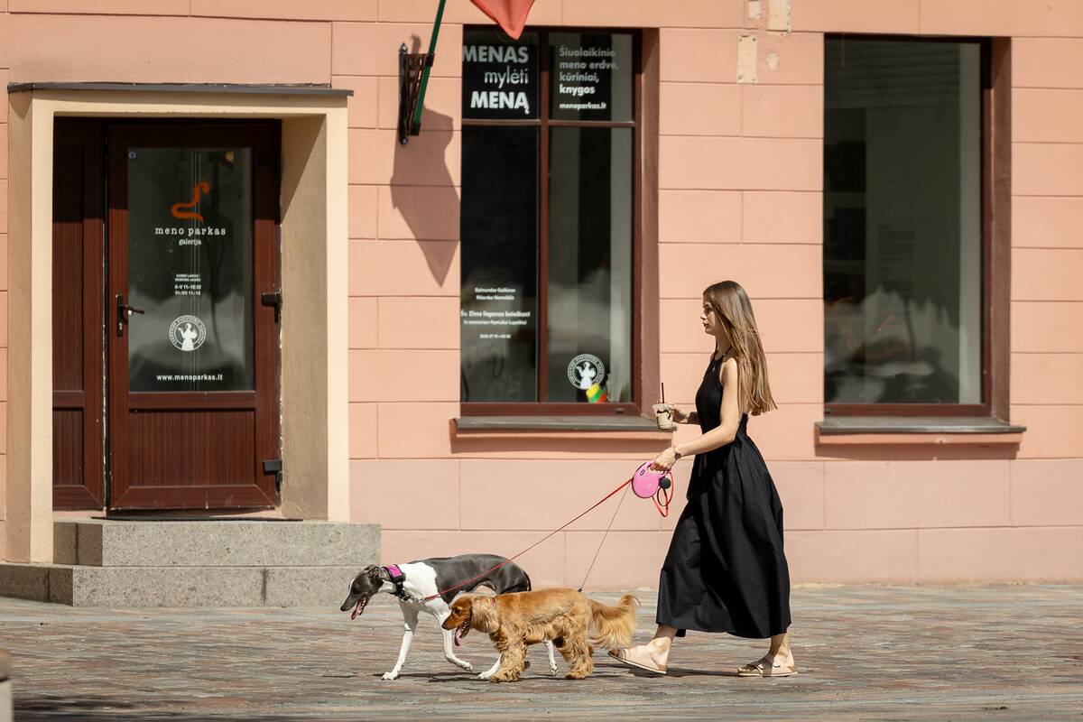 Kauniečių diena (2026-07-30)