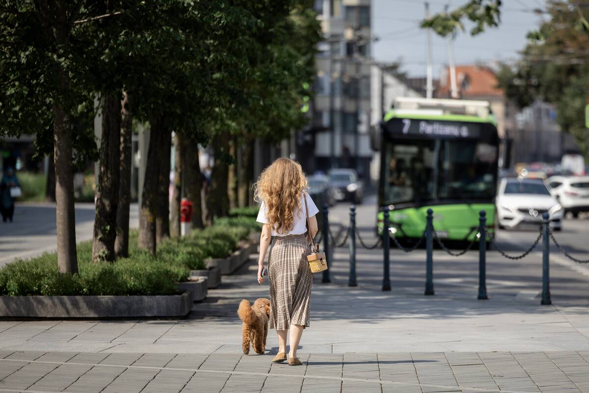 Kauniečių diena (2026-07-31)