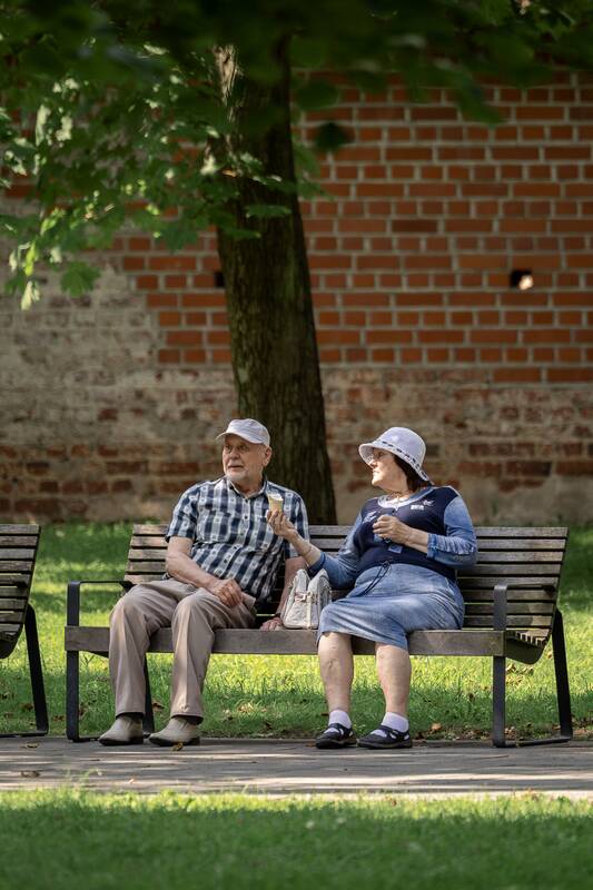 Kauniečių diena (2026-07-31)