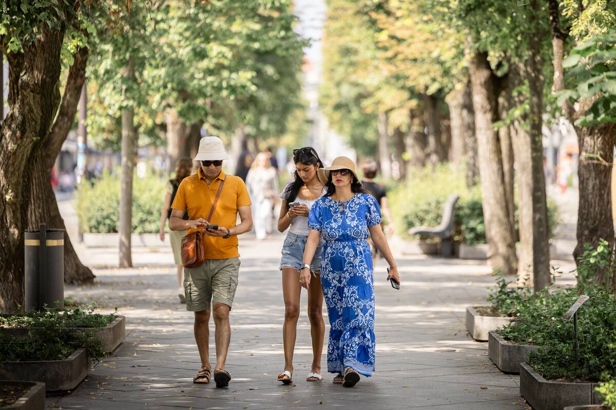 Kauniečių diena (2026-07-17)