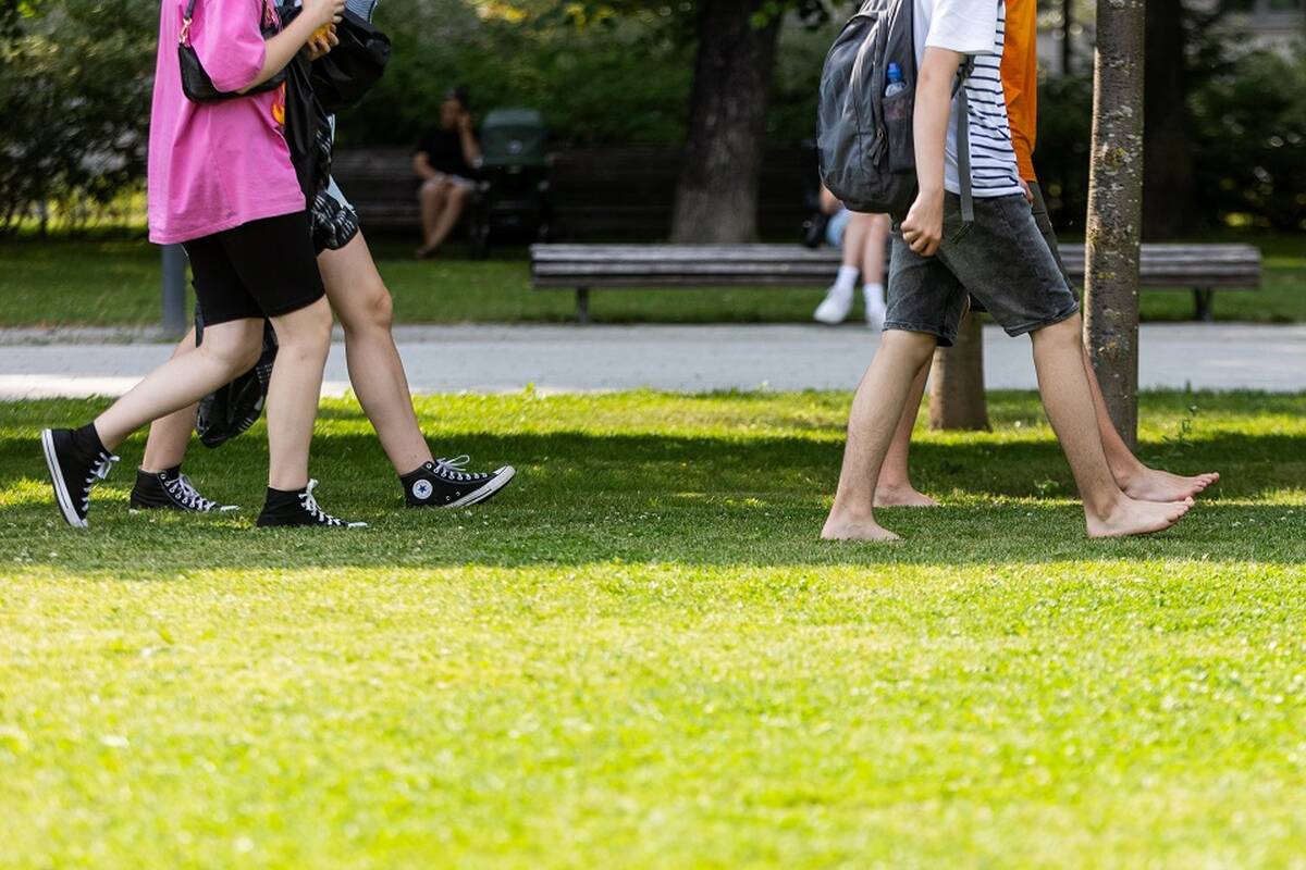 
<span>Užimtumo tarnybos vadovė: situacija nėra gera – gyvename naujoje realybėje</span>
