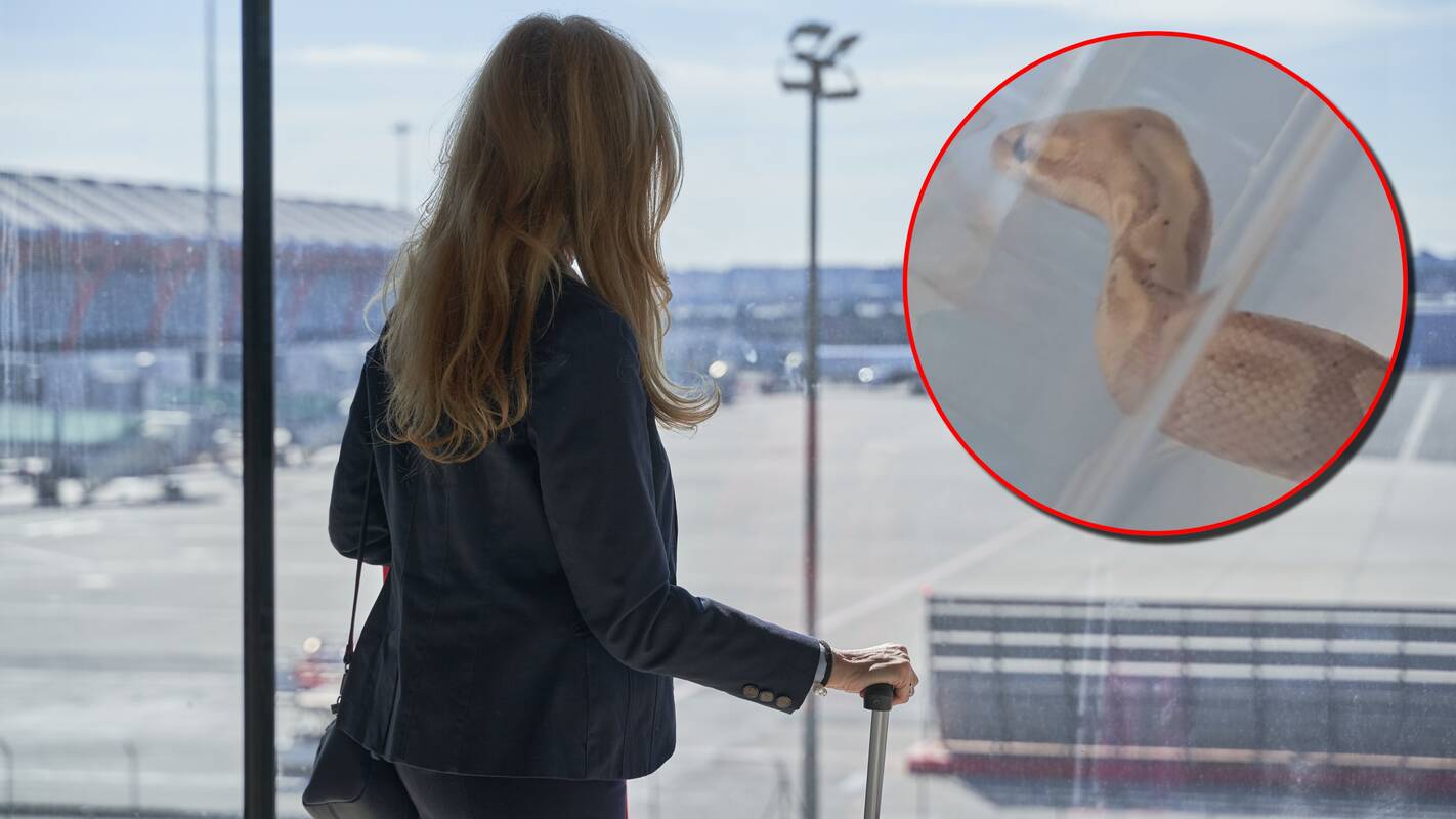 
<span>Oro uoste – neįprastas incidentas: to, ką išvydo po moters drabužiais, nesitikėjo</span>
