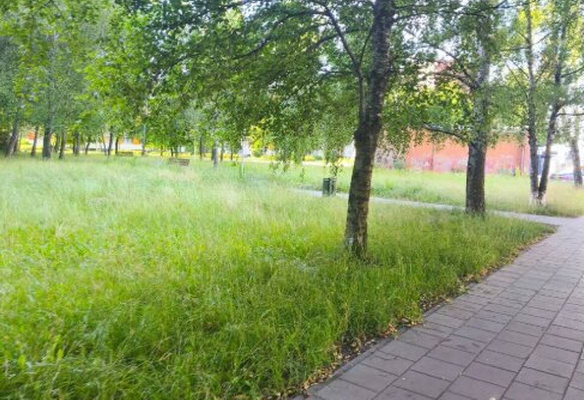 Nepriežiūra: Naujakiemio g. esantis žolynas šiemet liko pamirštas – gyventojai nesulaukia šienavimo darbų.