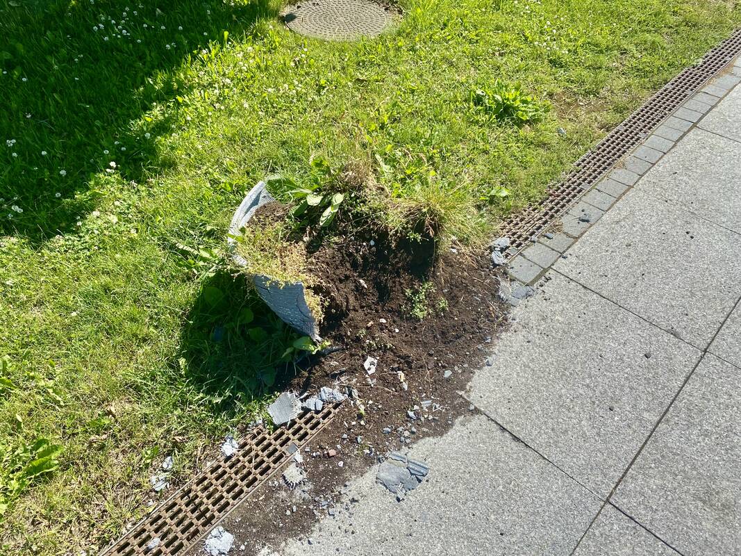Gėda: Dangės krantinėje suniokoti gėlių vazonai verčia klaipėdiečius jaustis nepatogiai prieš kruiziniais laivais atvykstančius miesto svečius.