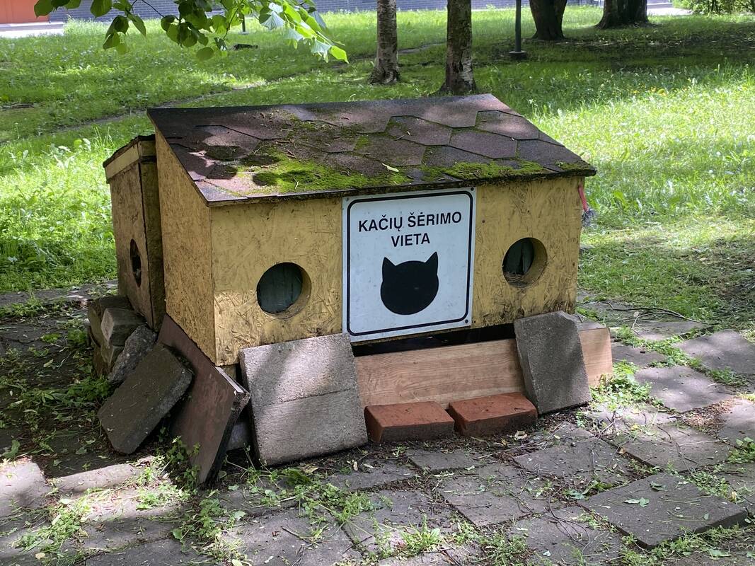 Realybė: kačių nameliai mieste patinka toli gražu ne visiems gyventojams.