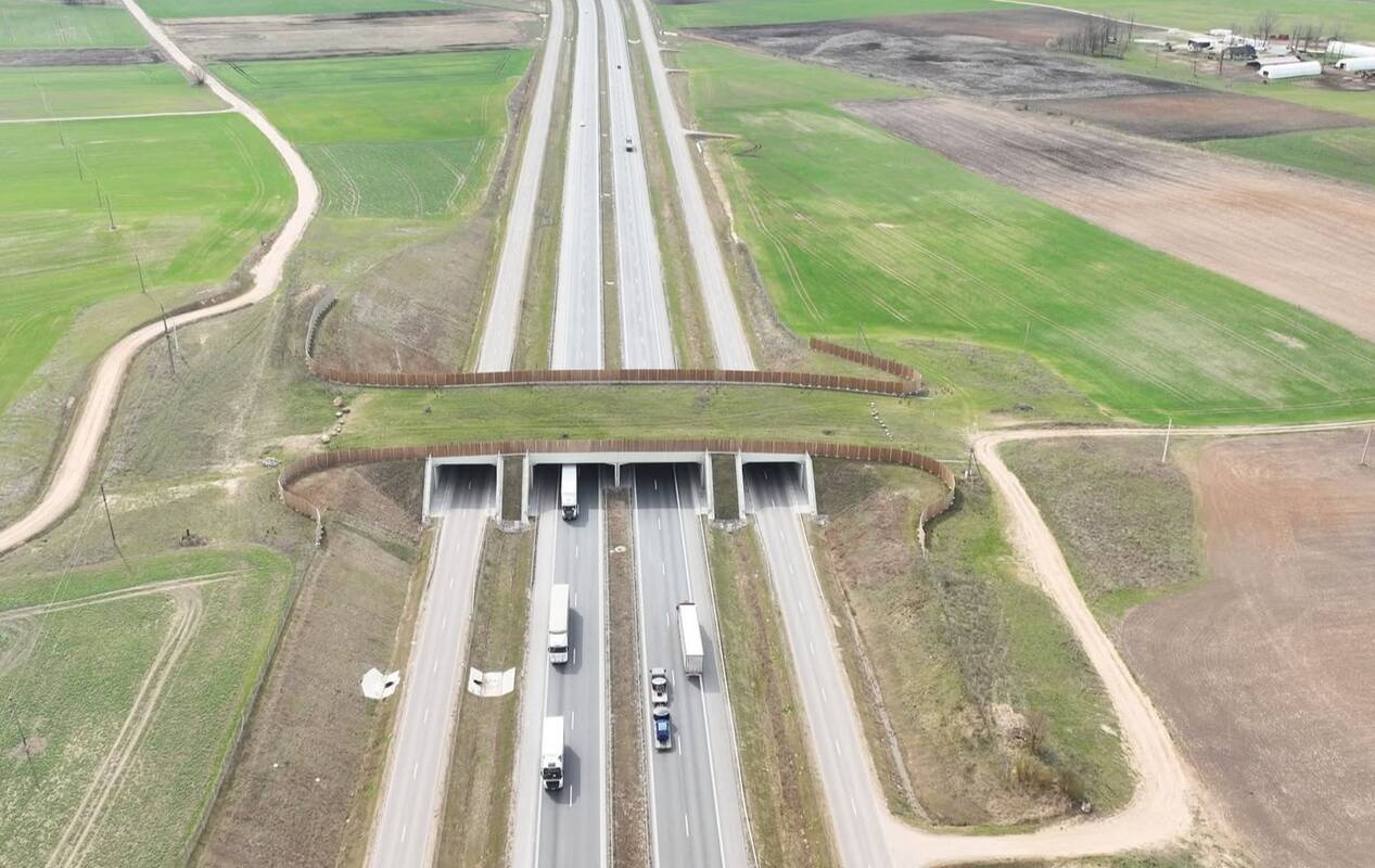 Gyvūnams: šiuo metu valstybinės reikšmės kelių tinkle yra du žalieji tiltai, planuojama iki 2025 m. įrengti dar keturis.