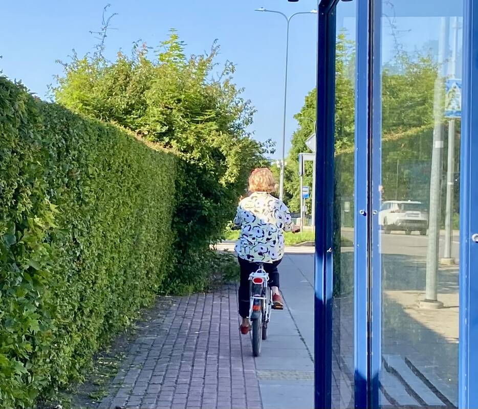 Sunkumai: negenėta gyvatvorė trukdo saugiam eismui – pėstieji negali praeiti, o dviratininkai yra priversti važiuoti pėsčiųjų taku.