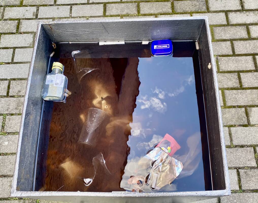 Šiukšlės: vazonuose susikaupusiame lietaus vandenyje plūduriuoja cigarečių nuorūkos, plastikiniai puodeliai, buteliai ir įvairios pakuotės.
