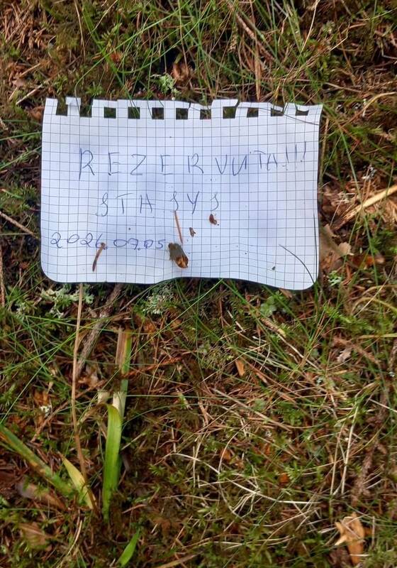 Parašė: Stasys, tikėtina, patiklus žmogus – vietoje, kur rado grybų, paliko raštelį, kad niekas kitas jų nesurinktų.
