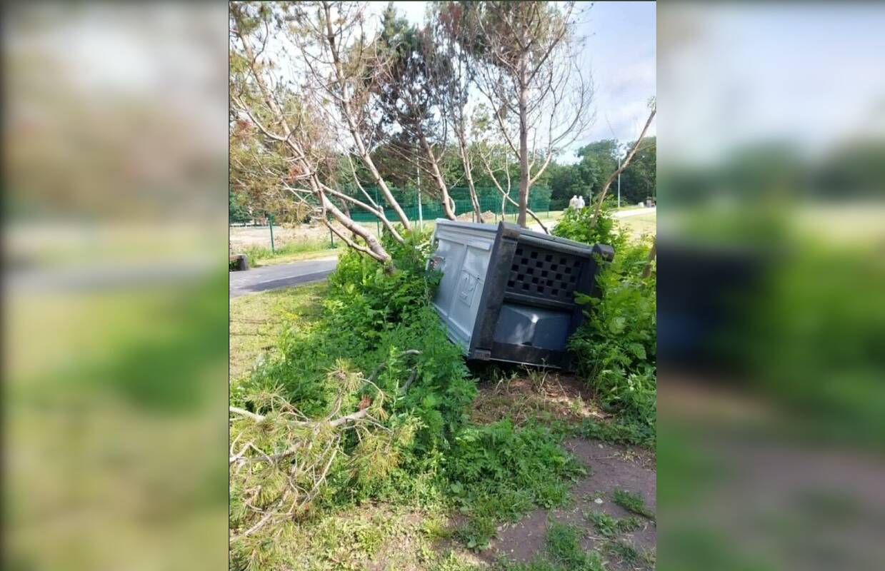 Vandalizmas: Smiltelės seniūnaitijos gyventojai svarsto, ar tai stipraus vėjo padariniai, ar chuliganiškas poelgis.