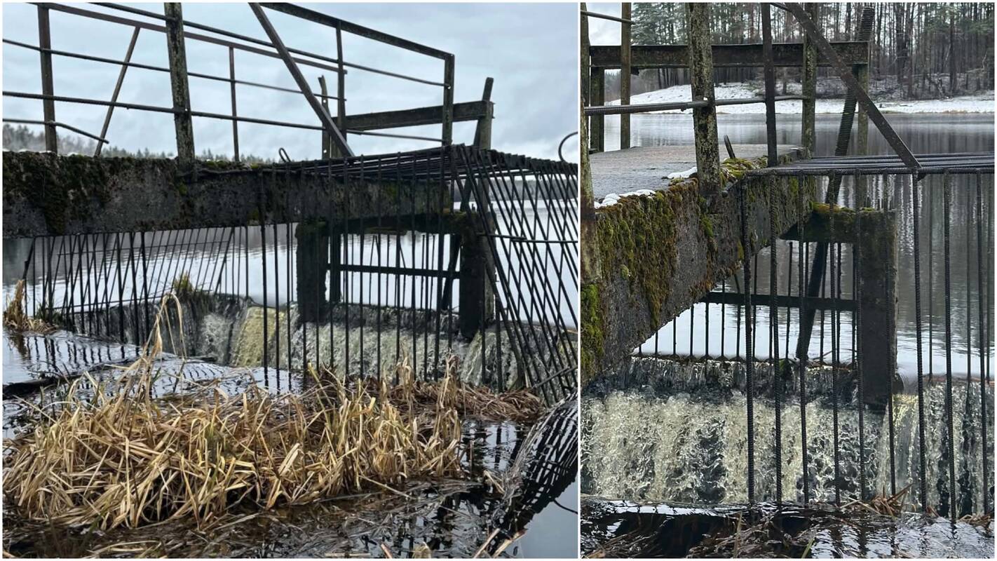 
<span>Kazlų Rūdos savivaldybėje paskelbta ekstremali situacija</span>
