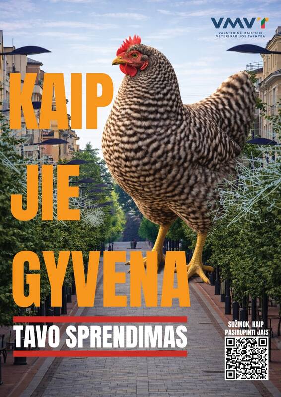 
<span>Laiminga višta – skanesnis kiaušinis: kaip užtikrinti gerovę savo paukščiams?</span>

