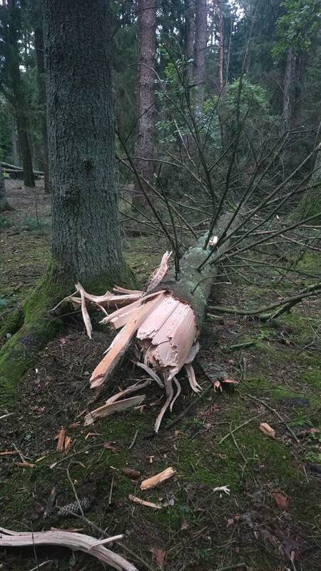 Audros padariniai Kaune