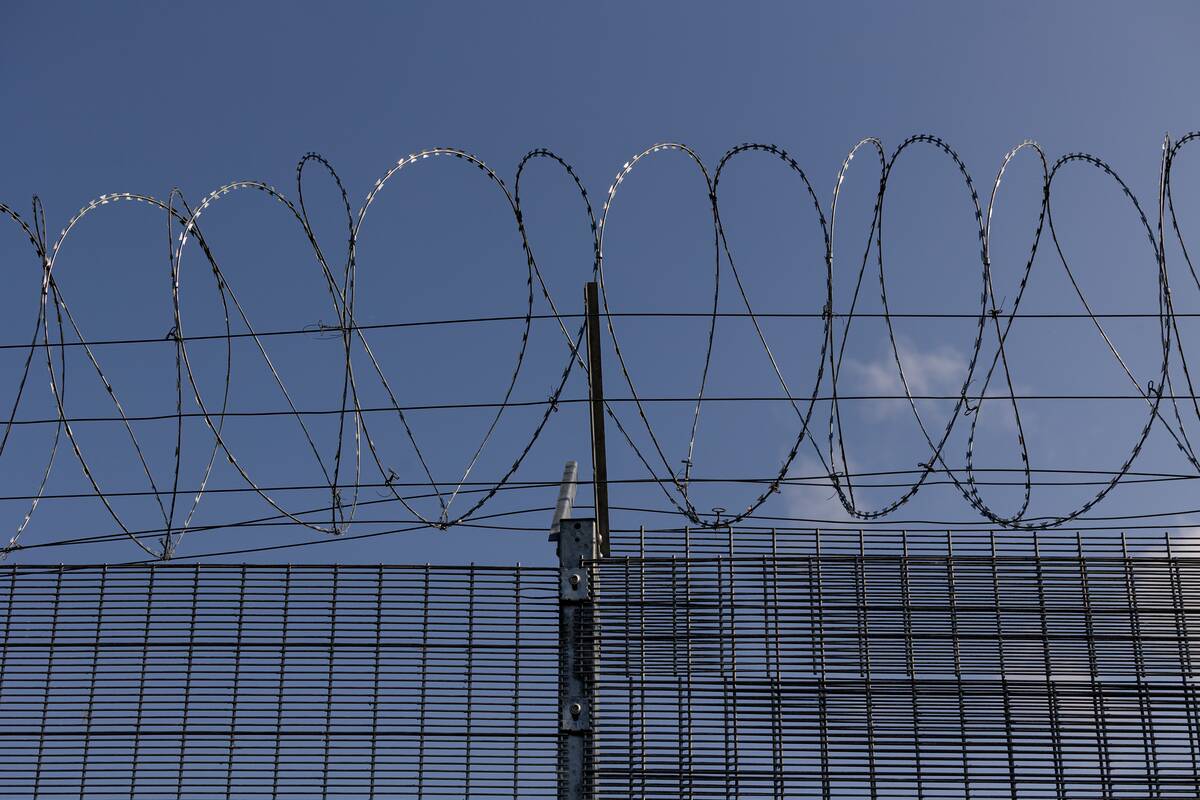 
<span>Pasienyje su Baltarusija apgręžta penkiolika neteisėtų migrantų</span>
