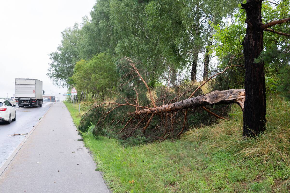 Smarki audra Vilniuje pridarė žalos