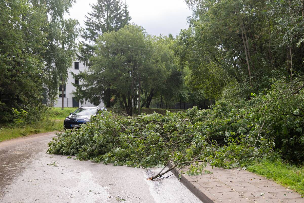 Smarki audra Vilniuje pridarė žalos