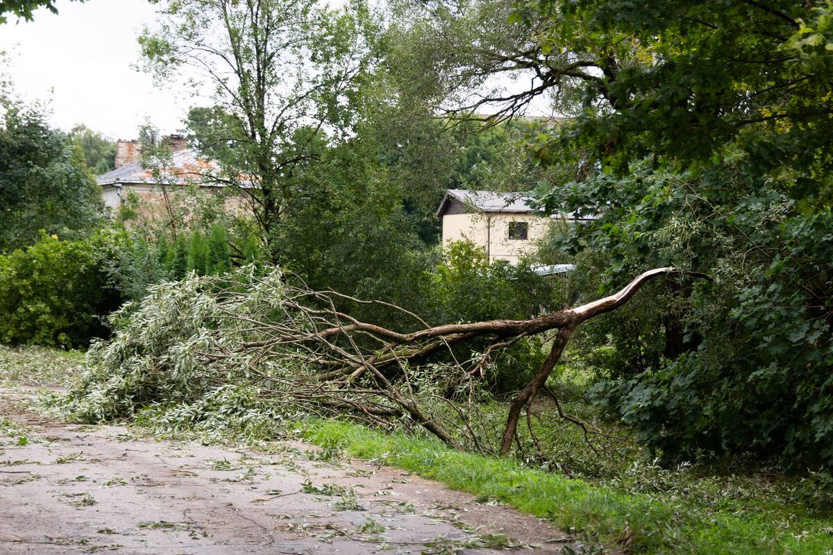 Smarki audra Vilniuje pridarė žalos