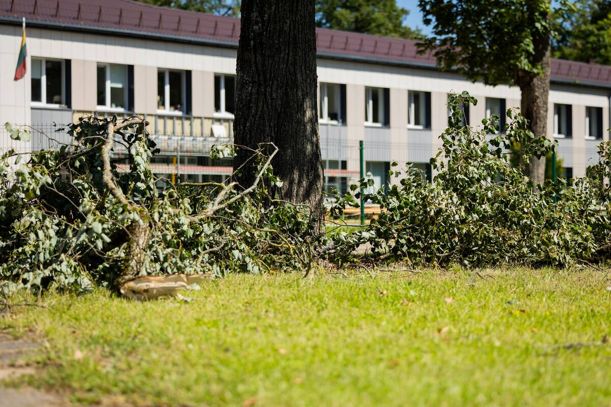 Vilniaus rajonas po audringo savaitgalio