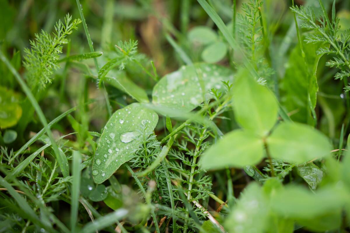 Lietingas antradienis Vilniuje
