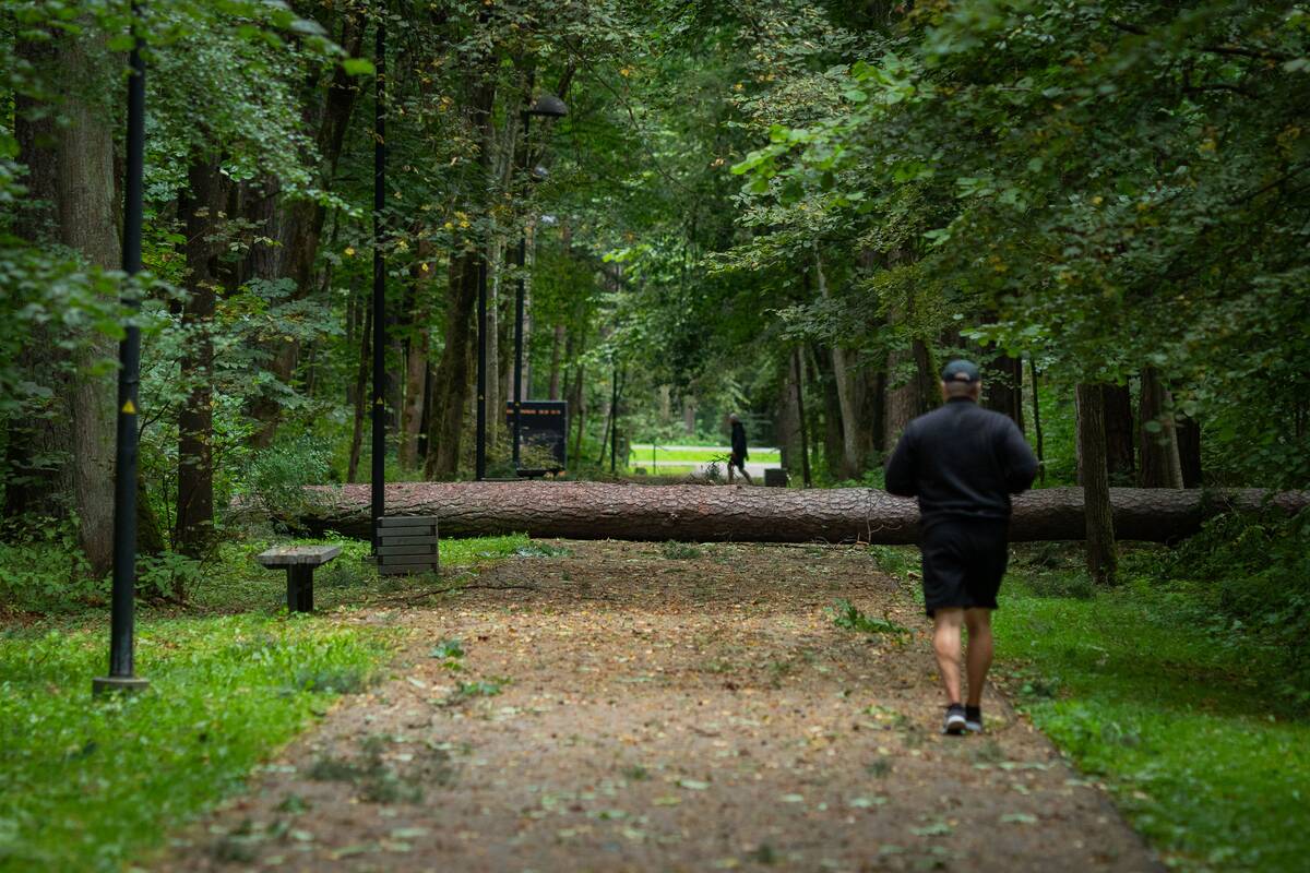 
<span>Politikai įvertino šalies pasirengimą audrai: nedarome jokių realių namų darbų, kad būtume pasiruošę</span>
