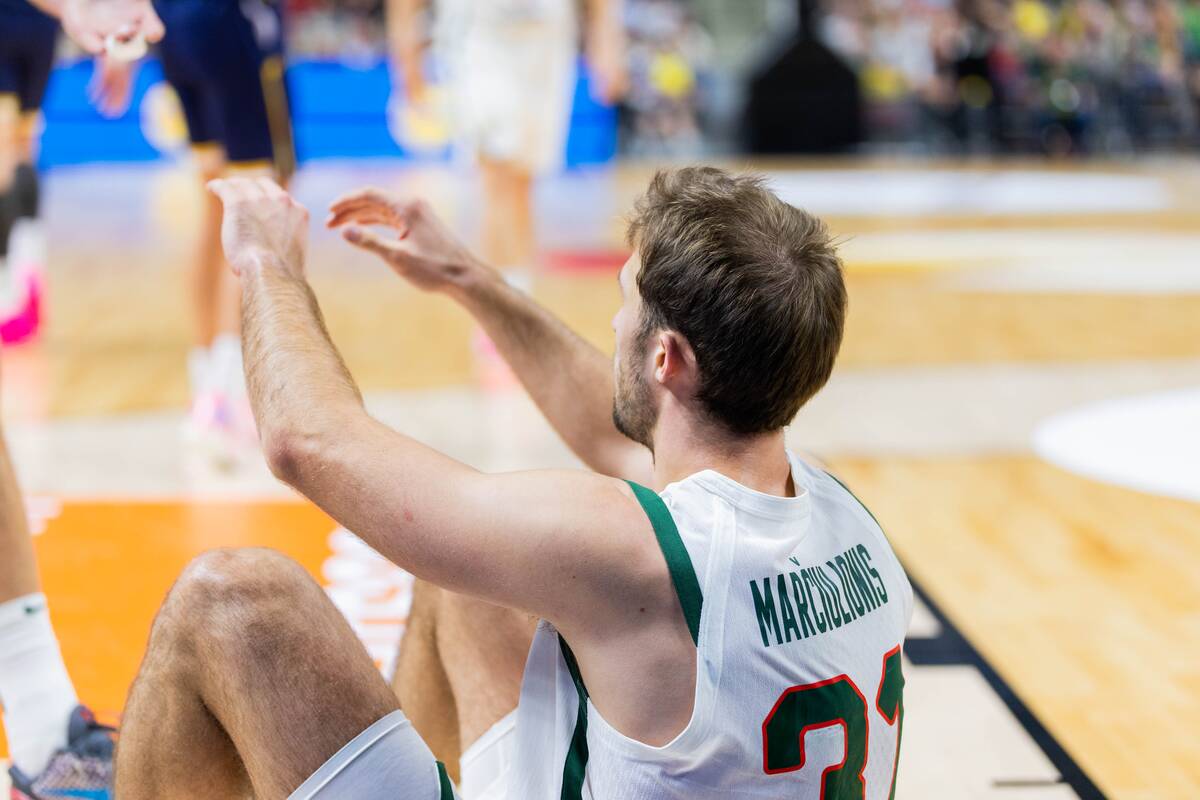 Pasaulio krepšinio čempionato atranka: Lietuva – Bosnija ir Hercegovina 78:73