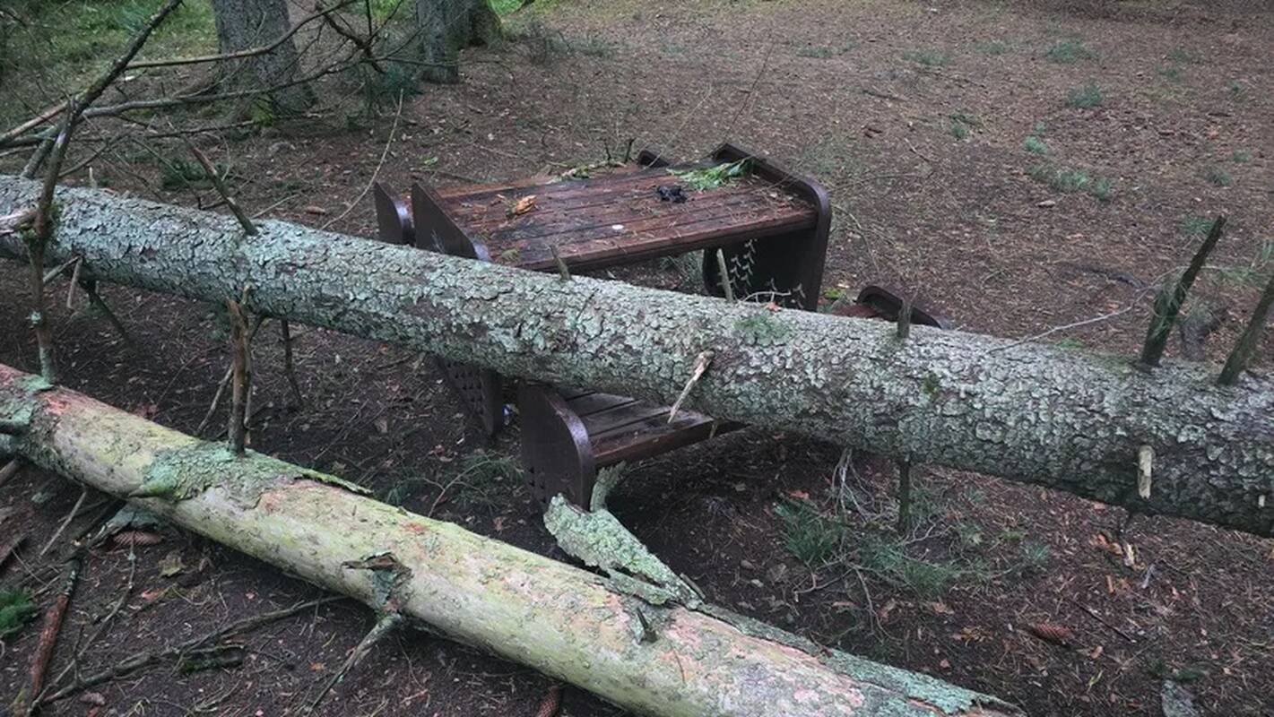 Audros padariniai Kaune