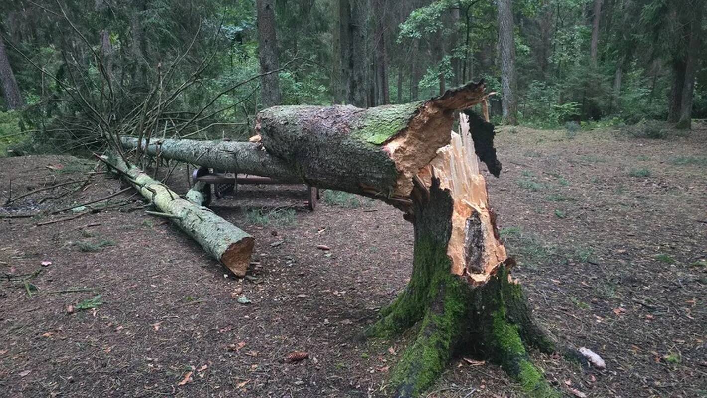 Audros padariniai Kaune
