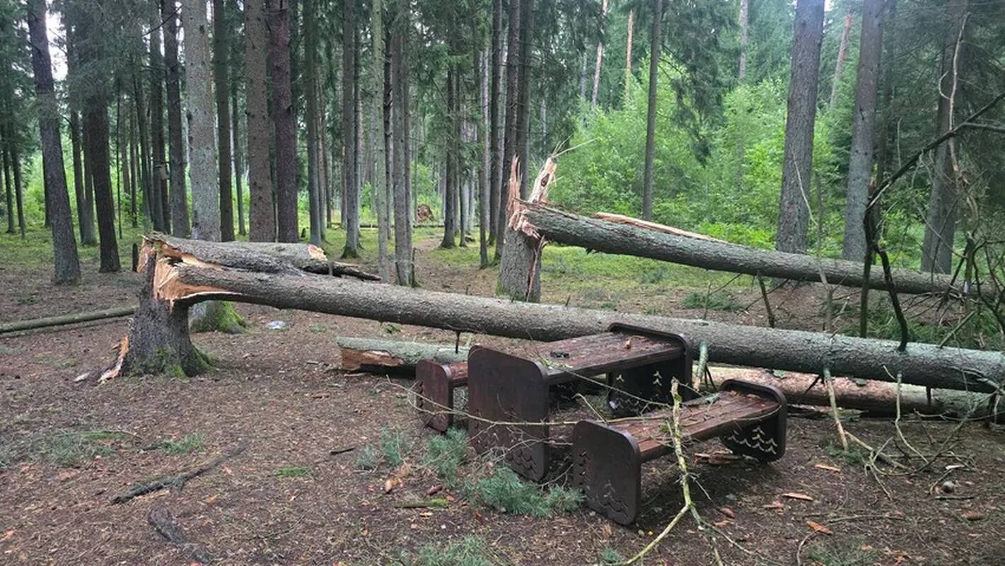 Audros padariniai Kaune