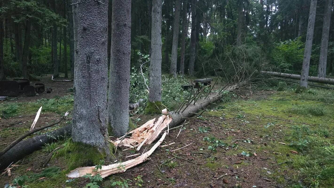 Audros padariniai Kaune