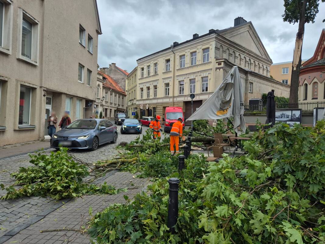 Sostinėje praūžė stipri audra