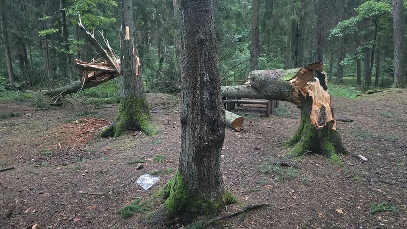 Audros padariniai Kaune