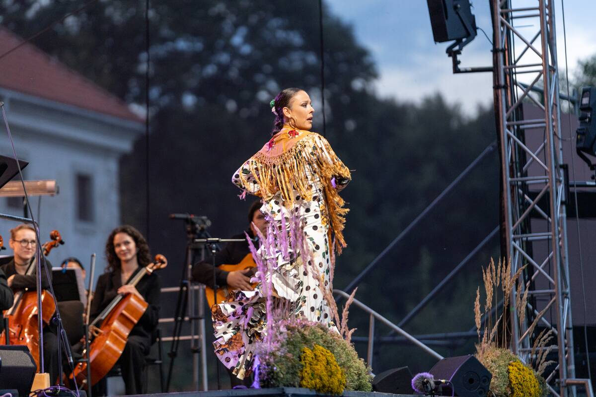 Pažaislio muzikos festivalio baigiamasis koncertas