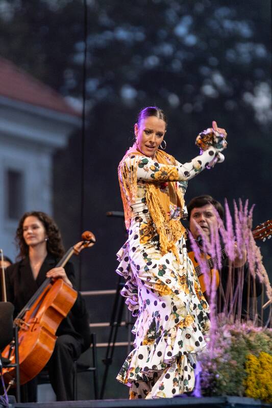 Pažaislio muzikos festivalio baigiamasis koncertas