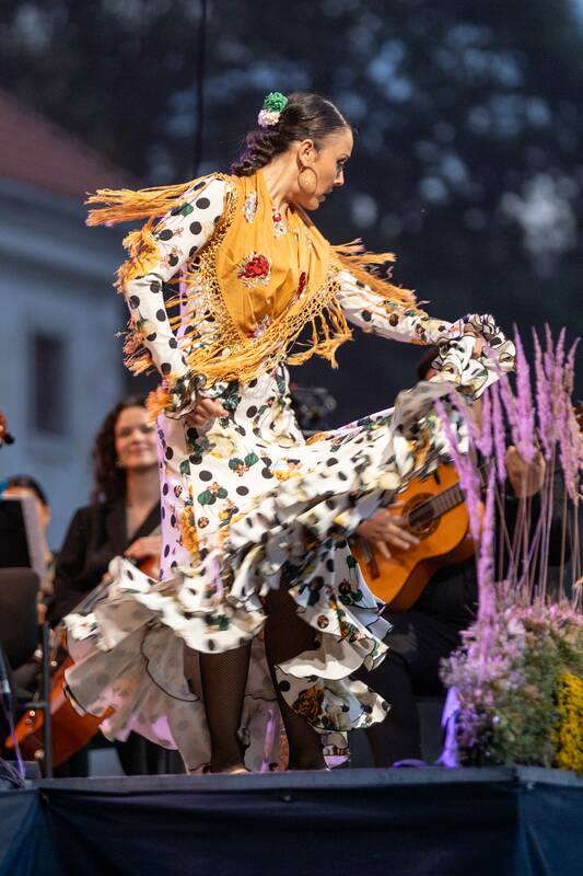 Pažaislio muzikos festivalio baigiamasis koncertas