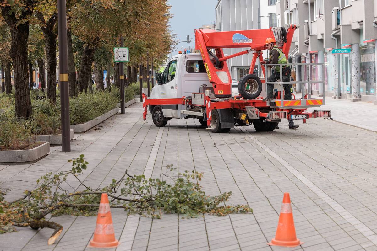 Kauniečių diena (2026-08-24)