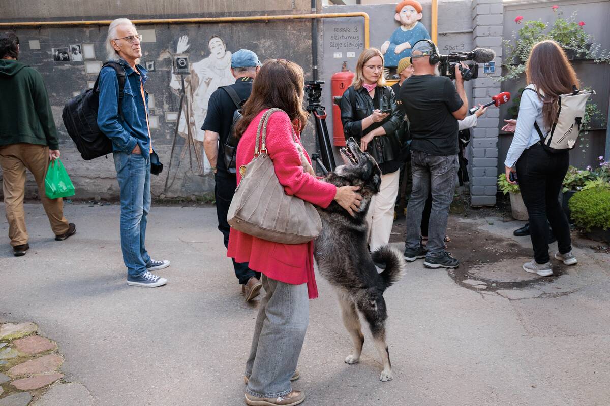 Nuniokoti kūriniai Kiemo galerijoje