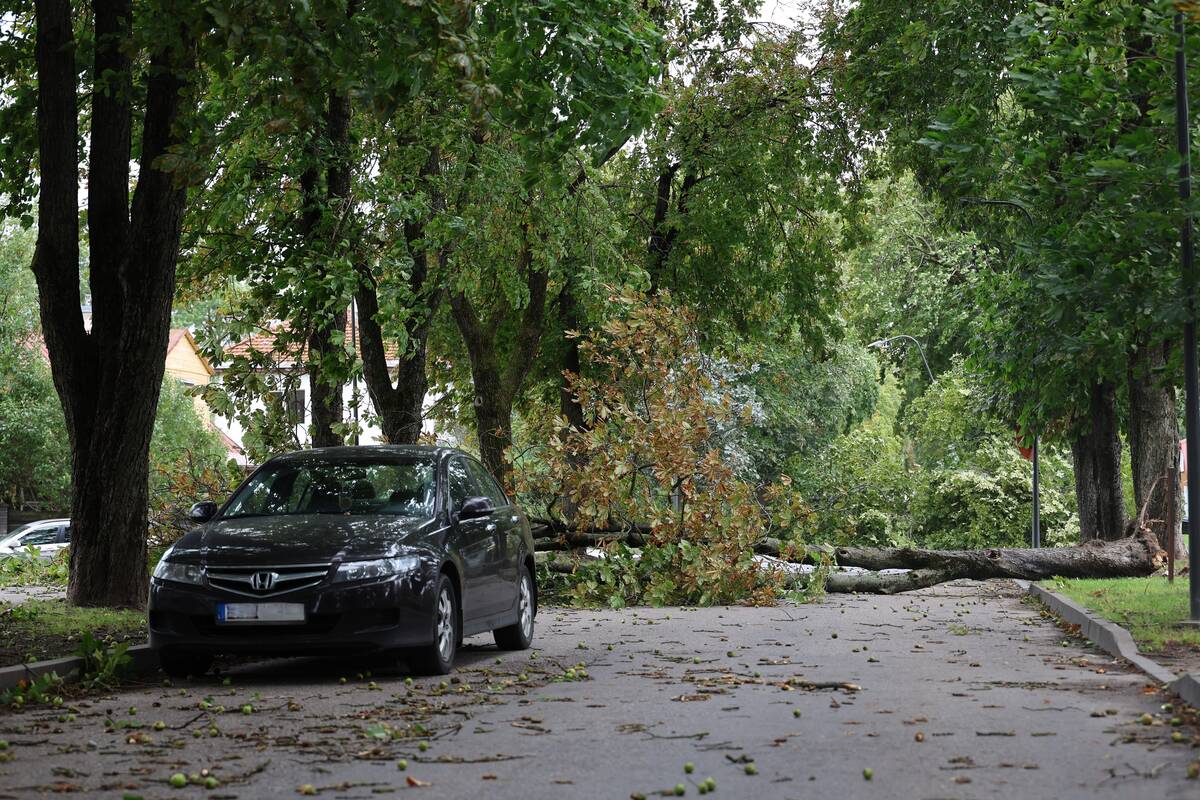Kauną nusiaubė galinga audra