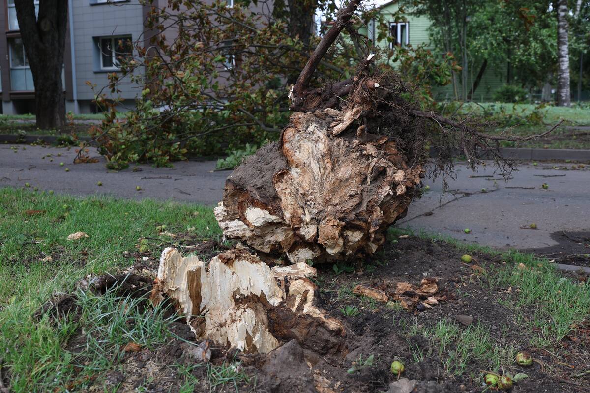 Kauną nusiaubė galinga audra