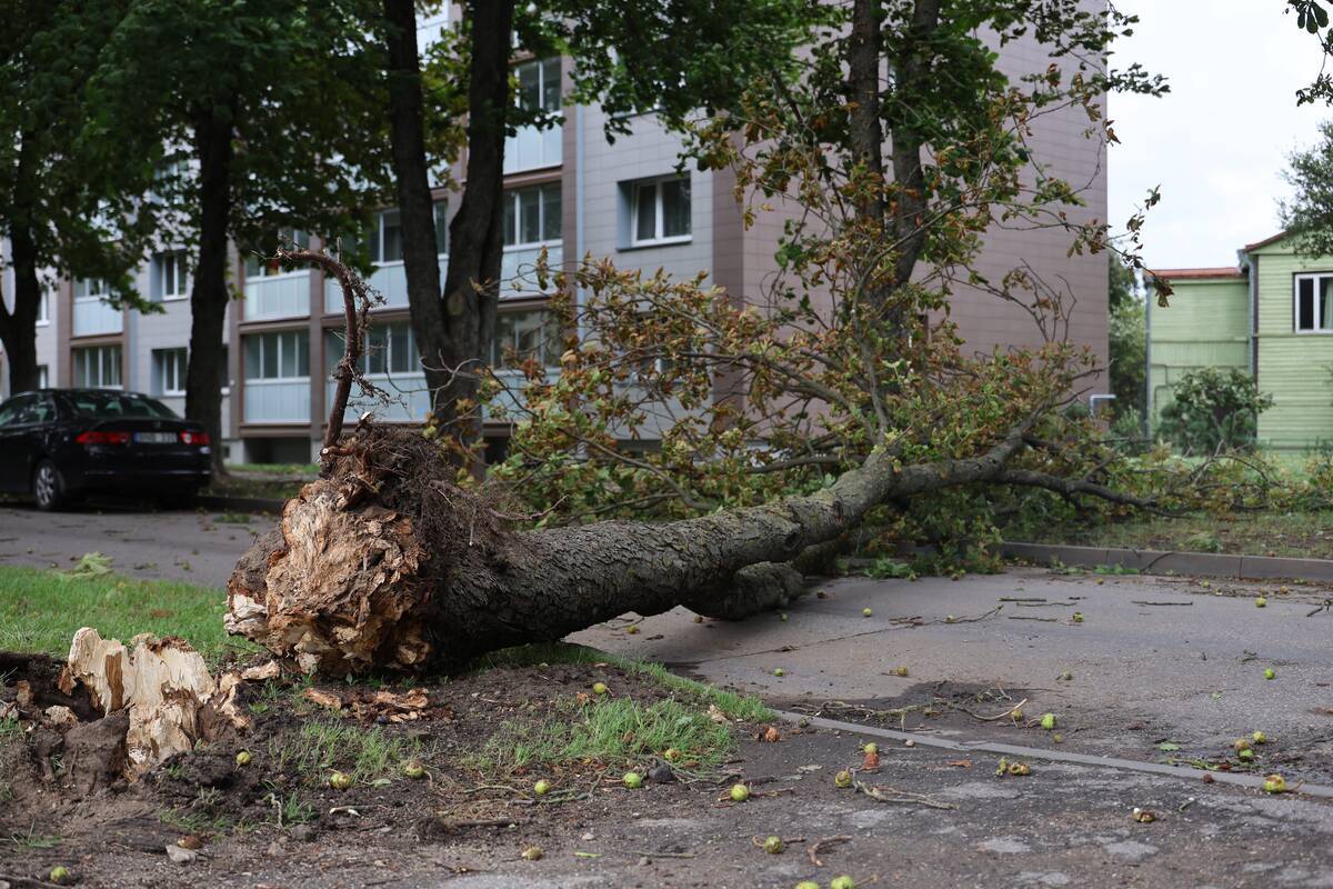Kauną nusiaubė galinga audra