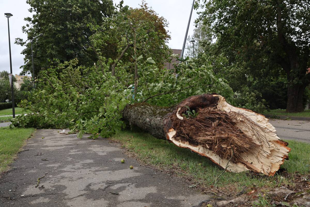 Kauną nusiaubė galinga audra